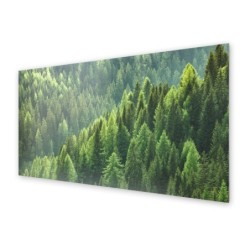 Panel kuchenny