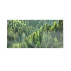 Panel kuchenny