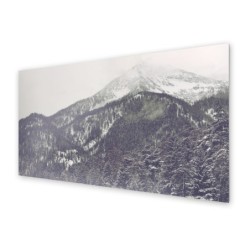 Panel kuchenny