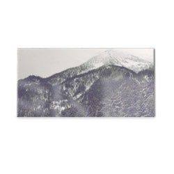 Panel kuchenny