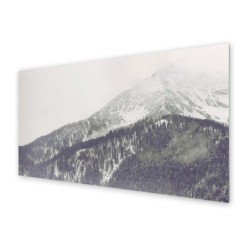 Panel kuchenny