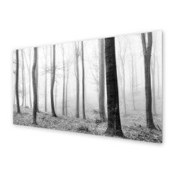 Panel kuchenny