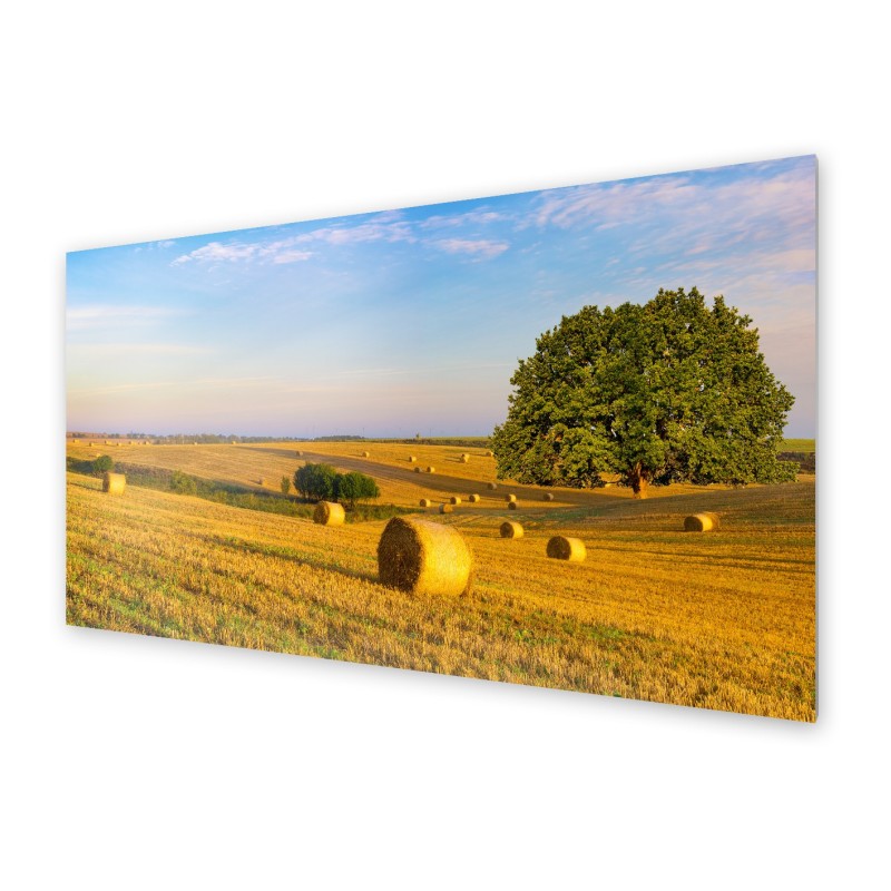 Panel kuchenny Panel kuchenny
