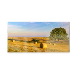 Panel kuchenny
