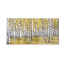 Panel kuchenny