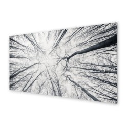 Panel kuchenny