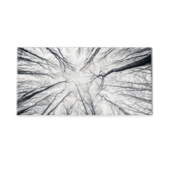 Panel kuchenny