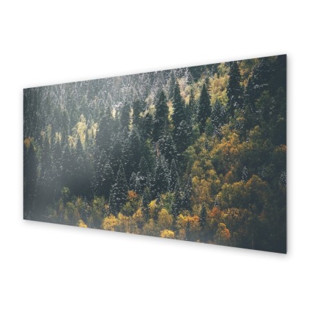 Panel kuchenny