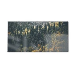 Panel kuchenny