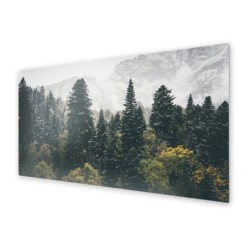 Panel kuchenny