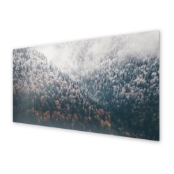 Panel kuchenny