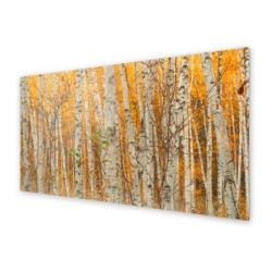Panel kuchenny
