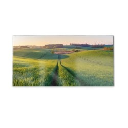 Panel kuchenny