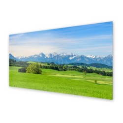 Panel kuchenny