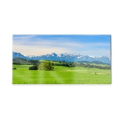Panel kuchenny