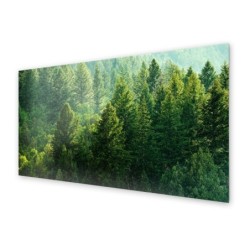 Panel kuchenny
