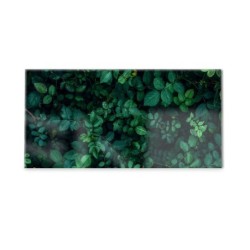 Panel kuchenny