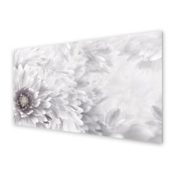 Panel kuchenny