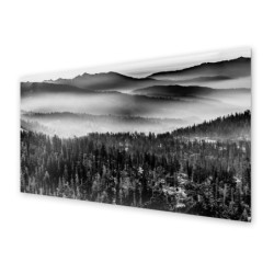 Panel kuchenny
