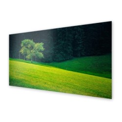 Panel kuchenny