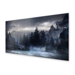 Panel kuchenny