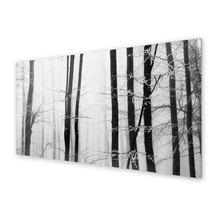 Panel kuchenny