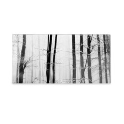 Panel kuchenny
