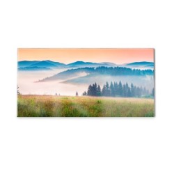 Panel kuchenny