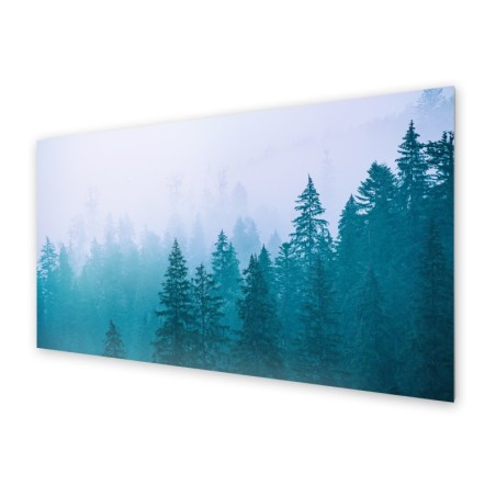 Panel kuchenny