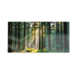 Panel kuchenny
