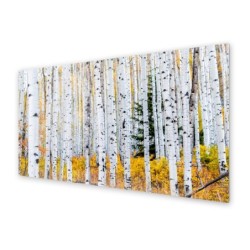 Panel kuchenny