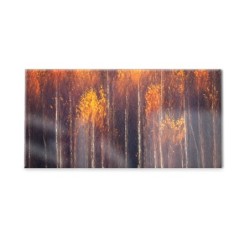 Panel kuchenny