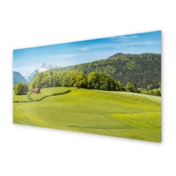 Panel kuchenny