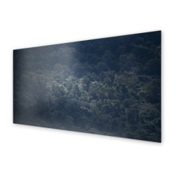 Panel kuchenny