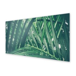 Panel kuchenny