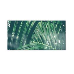 Panel kuchenny