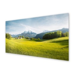 Panel kuchenny