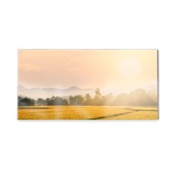 Panel kuchenny