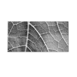 Panel kuchenny