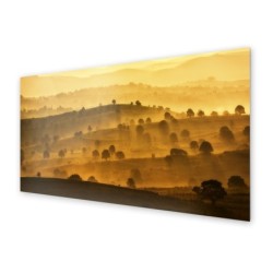 Panel kuchenny