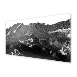 Panel kuchenny