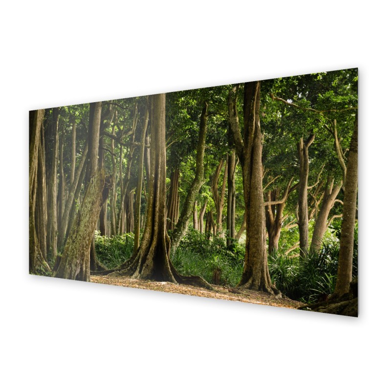 Panel kuchenny