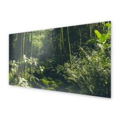 Panel kuchenny