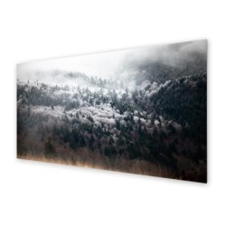 Panel kuchenny