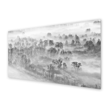 Panel kuchenny