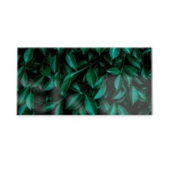 Panel kuchenny