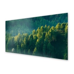 Panel kuchenny