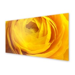 Panel kuchenny