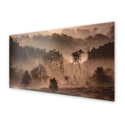 Panel kuchenny
