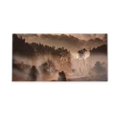 Panel kuchenny